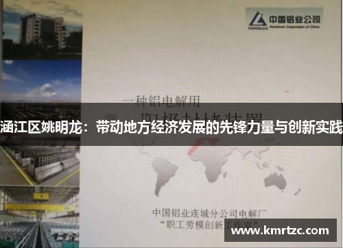 涵江区姚明龙：带动地方经济发展的先锋力量与创新实践